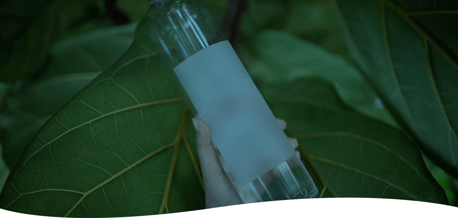 Divine H2O Home